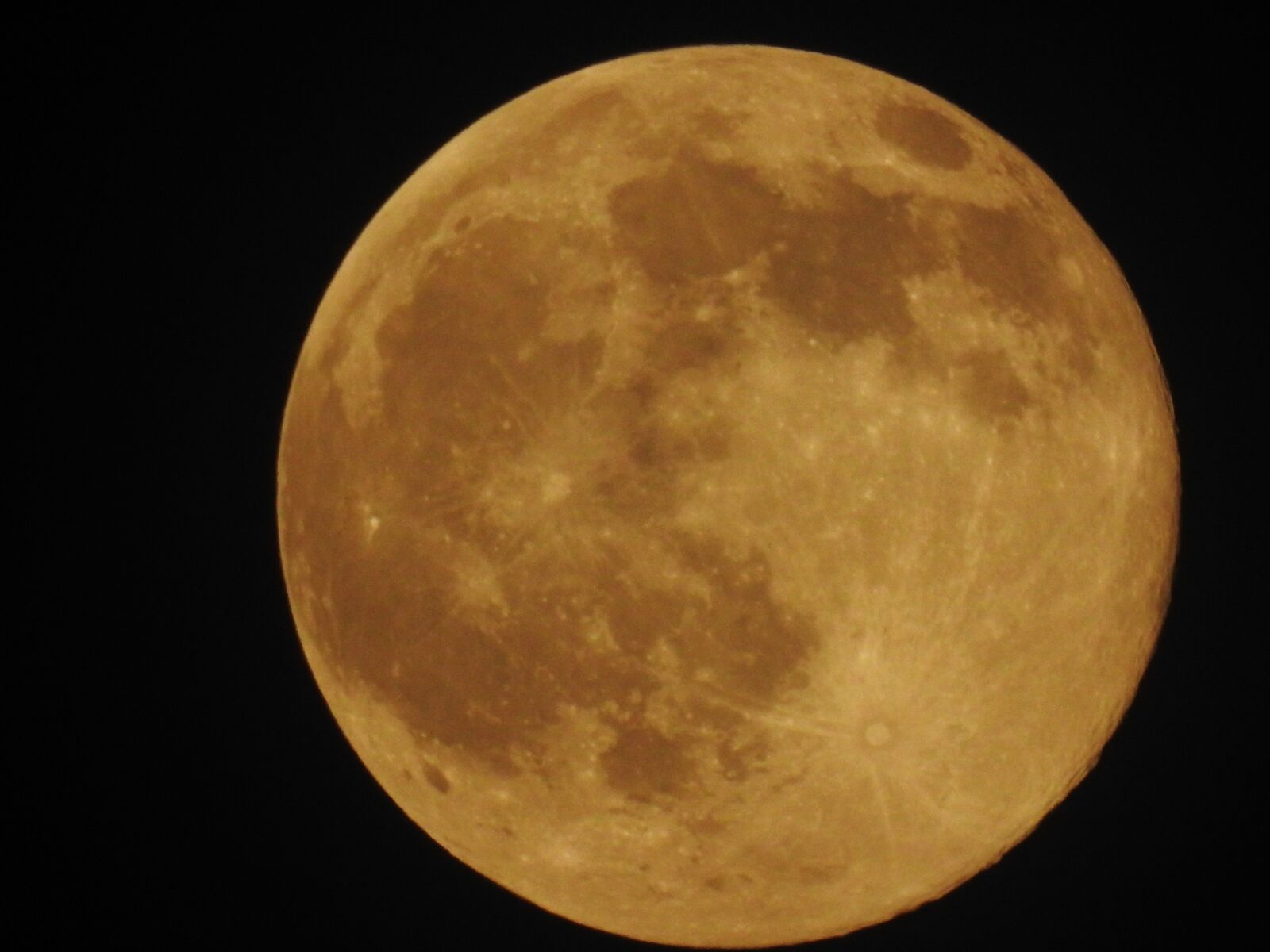 Nikon Coolpix P900 sample photo. Nature, moon, sky photography
