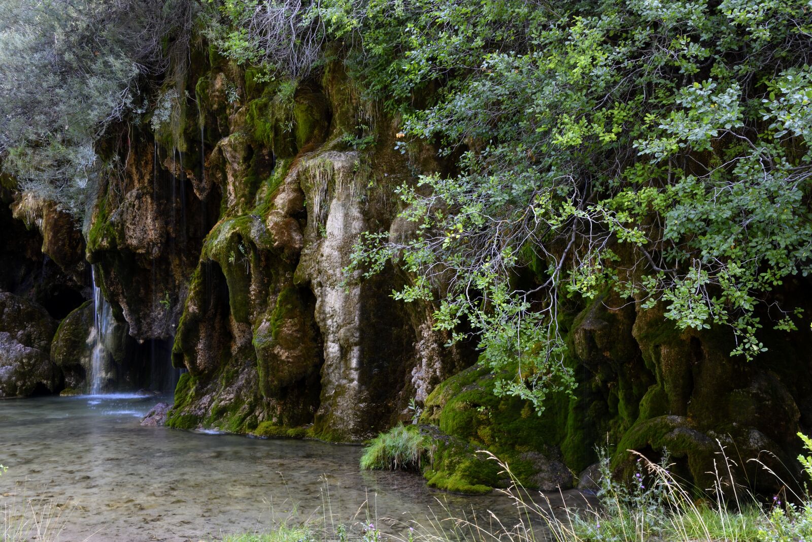 Nikon D500 sample photo. Crow river, birth, waterfall photography