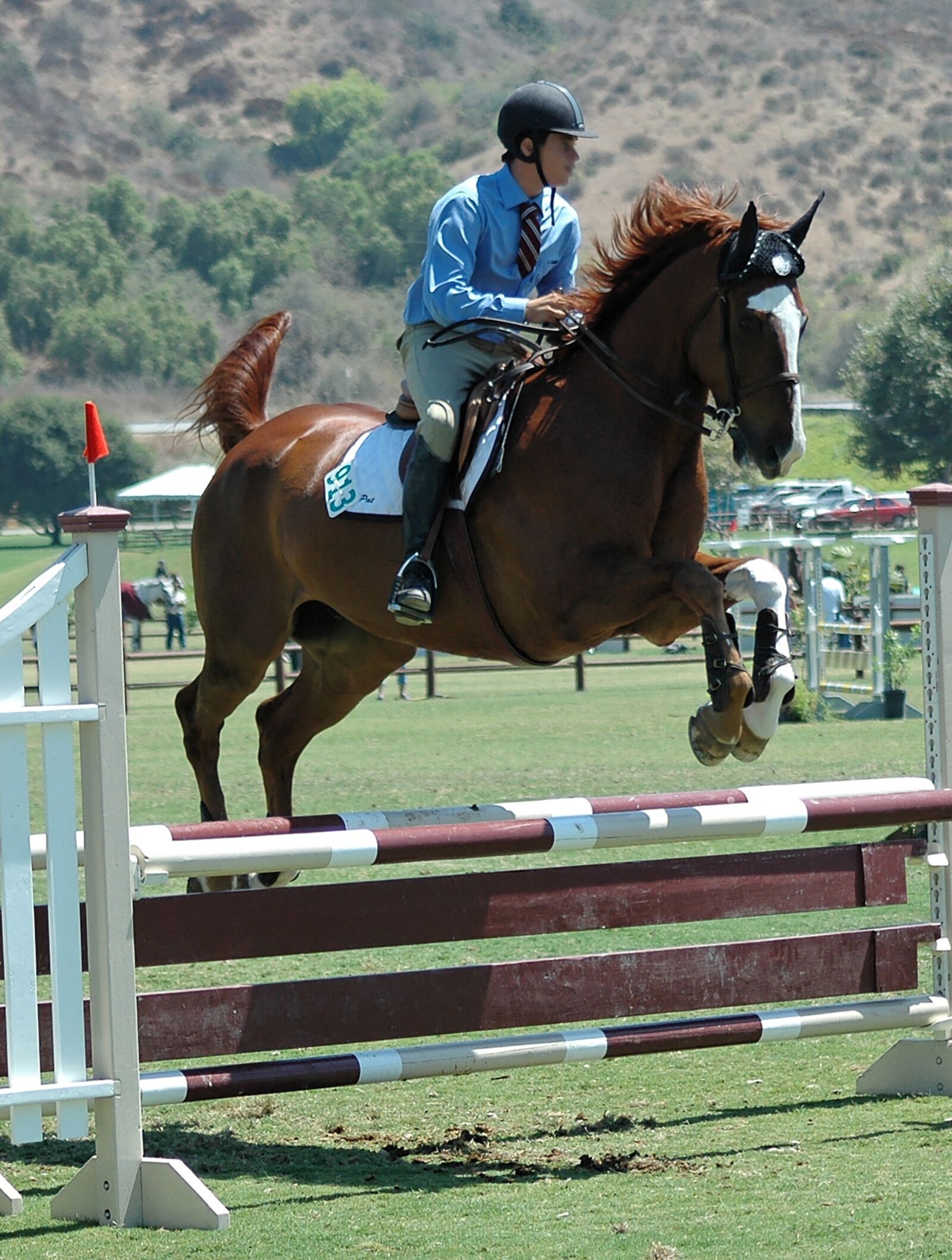 Nikon D70s sample photo. Horse, horses, horseback photography