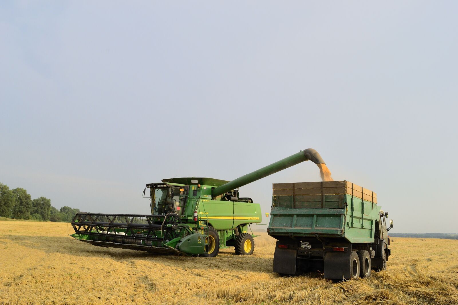 Nikon D3100 sample photo. Harvest, ukraine, summer photography
