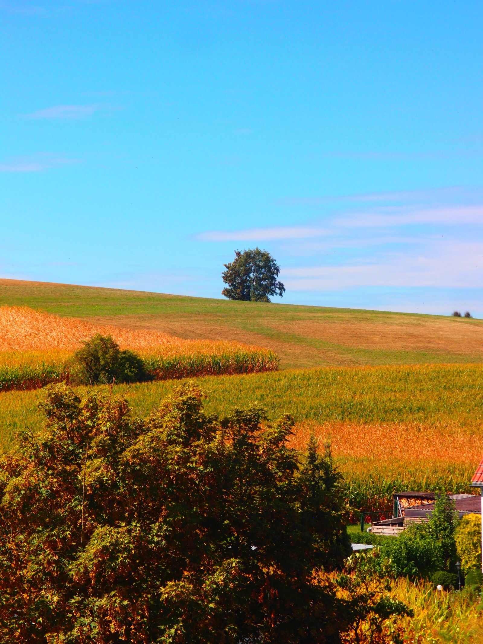 Olympus XZ-1 sample photo. Agriculture, landscape, nature photography