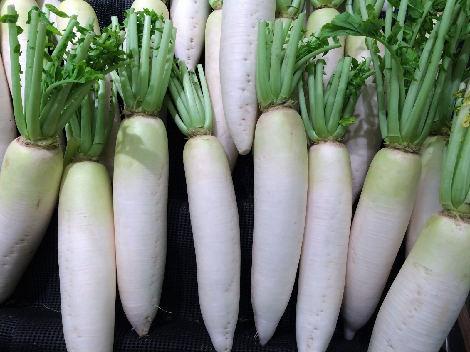 iPhone 5s back camera 4.15mm f/2.2 sample photo. Radish, vegetables, seiyu ltd photography