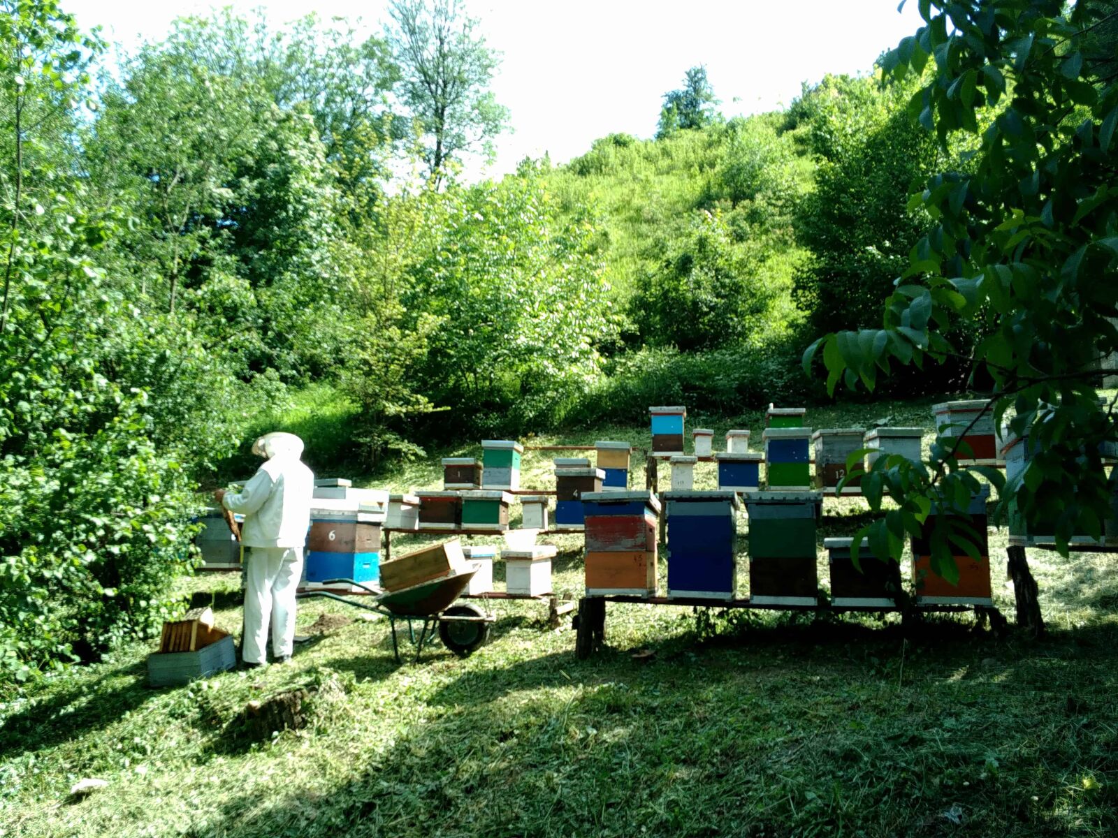 Lenovo S60-A sample photo. Beehive, man, wood, summer photography