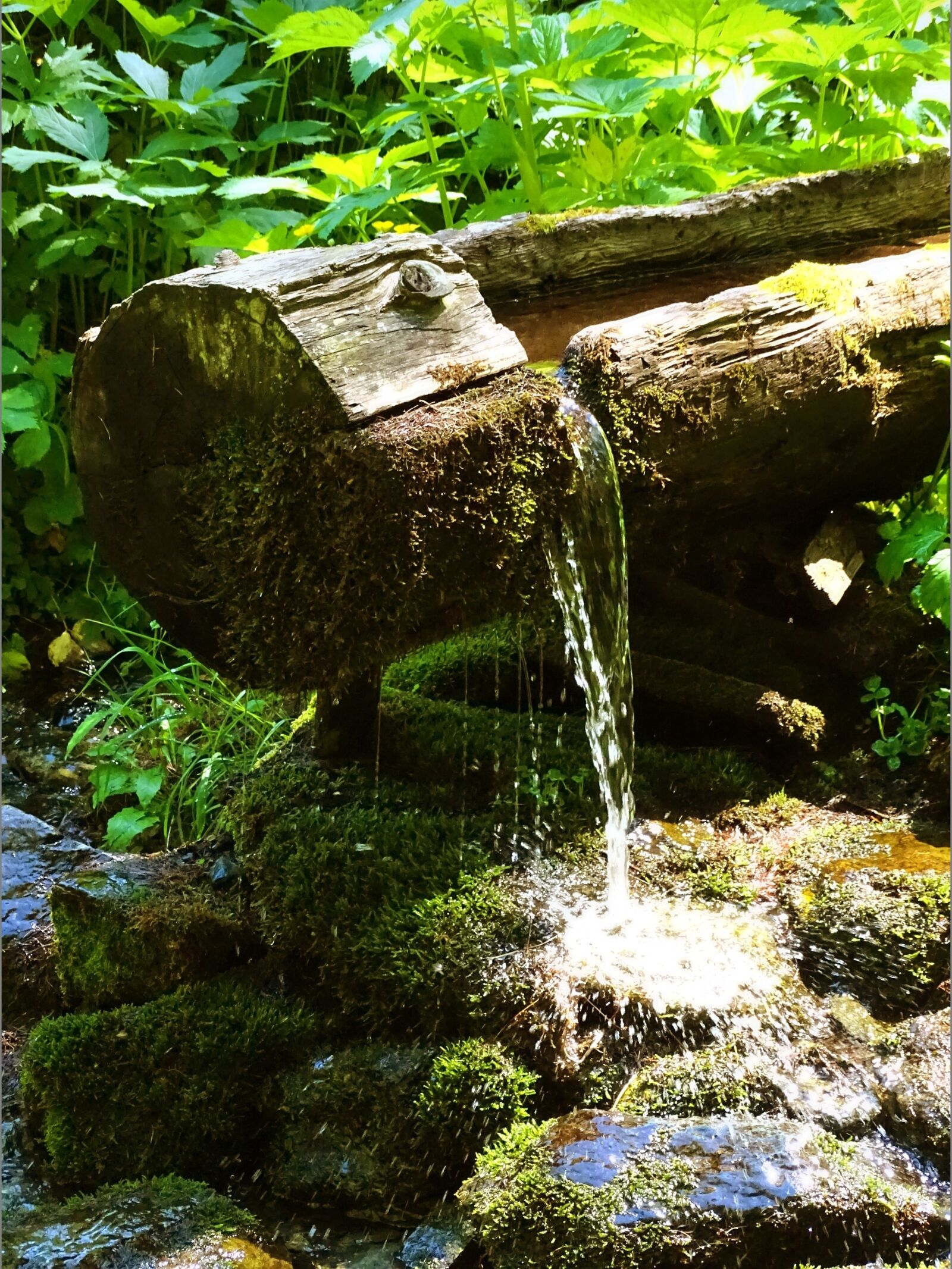 Sony Cyber-shot DSC-HX400V sample photo. Fountain, water, wood photography