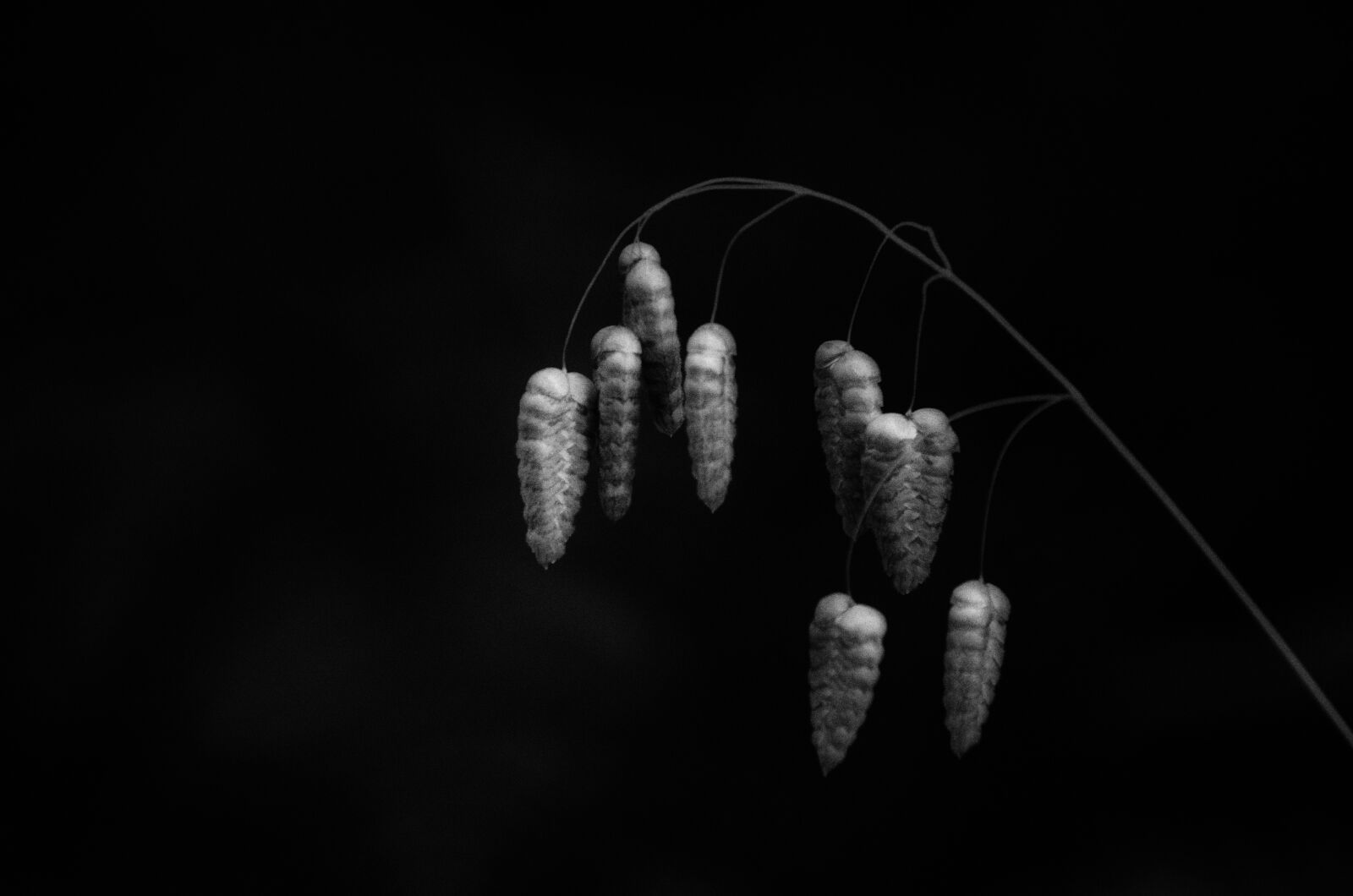 Nikon D7000 sample photo. Black and white, mood photography