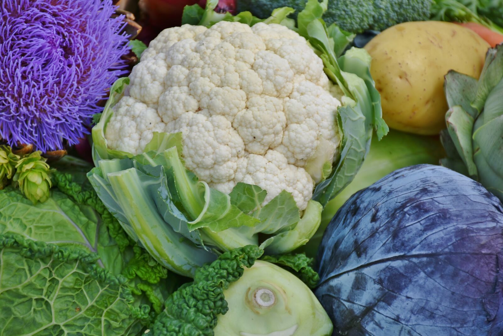 Nikon D7200 sample photo. Cauliflower, red cabbage, savoy photography