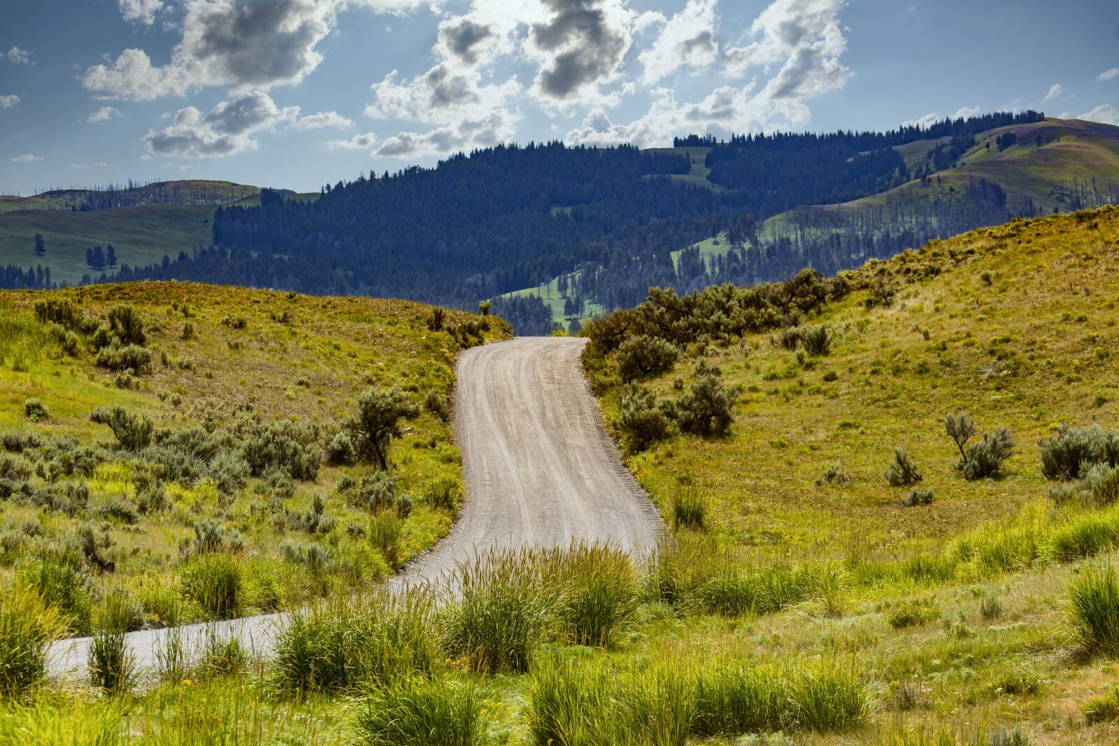 Canon EOS 5D Mark II sample photo. Road, pavement, mountains photography
