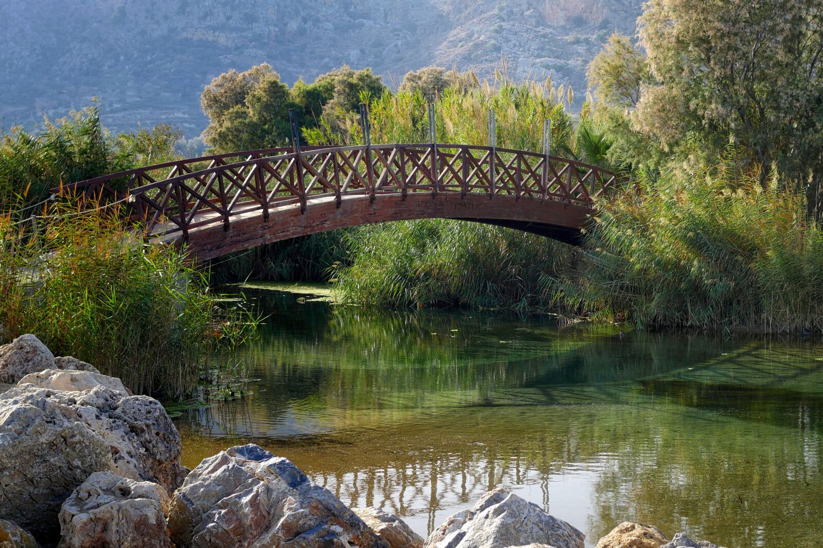 Panasonic Lumix DMC-GX8 sample photo. Bridge, waters, nature photography