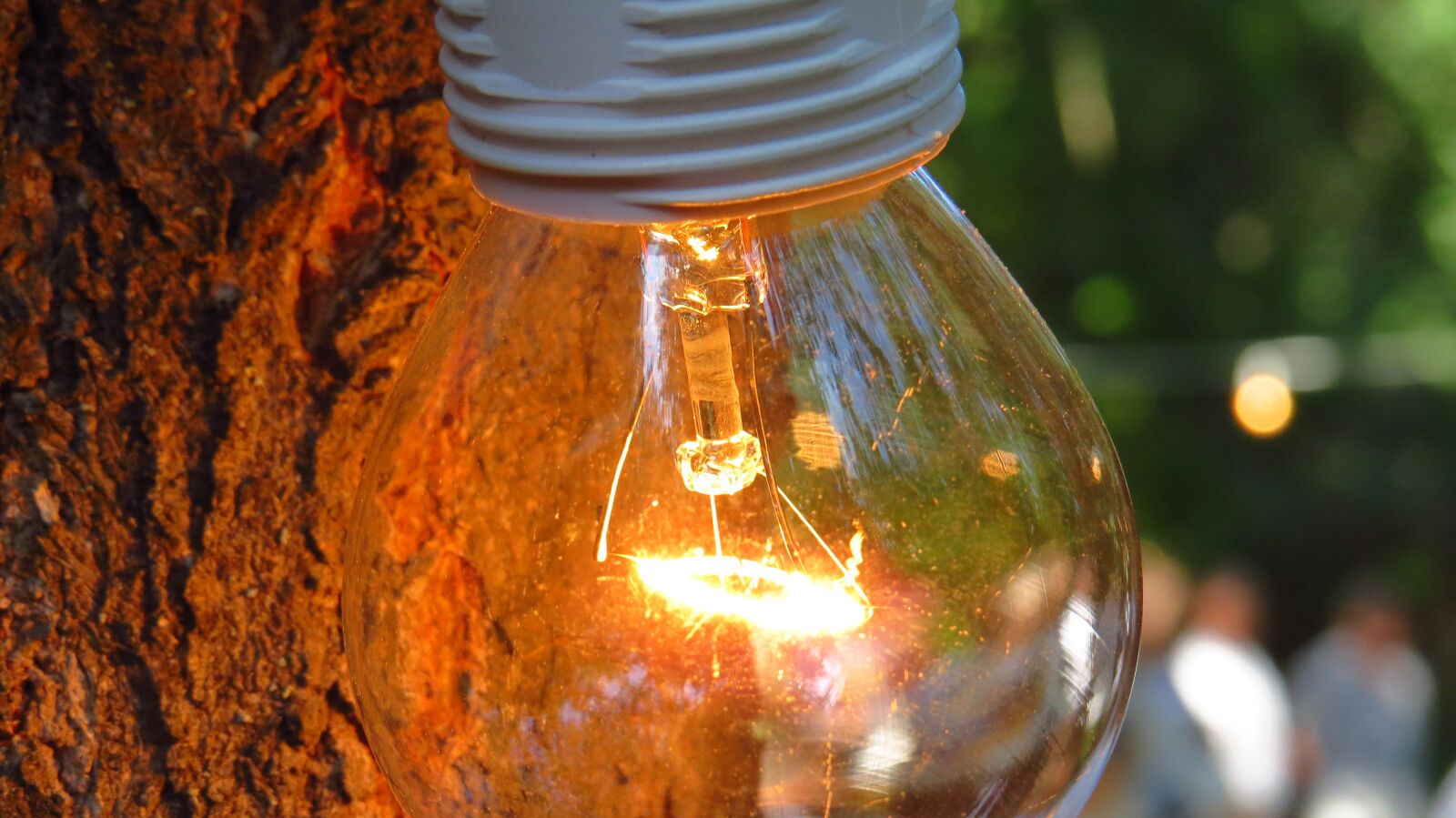 Canon PowerShot SX50 HS sample photo. Lamp, burn, bright photography