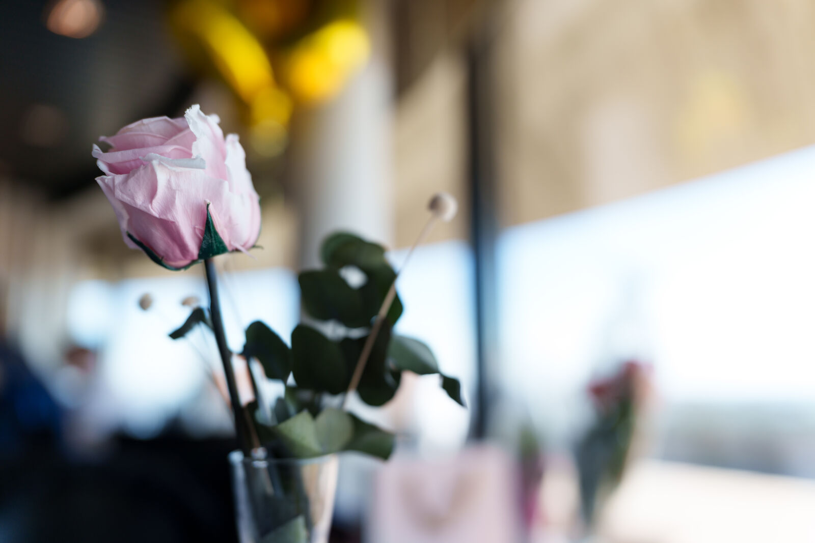 Sigma 28-45mm F1.8 DG DN Art sample photo. Restaurant decoration photography