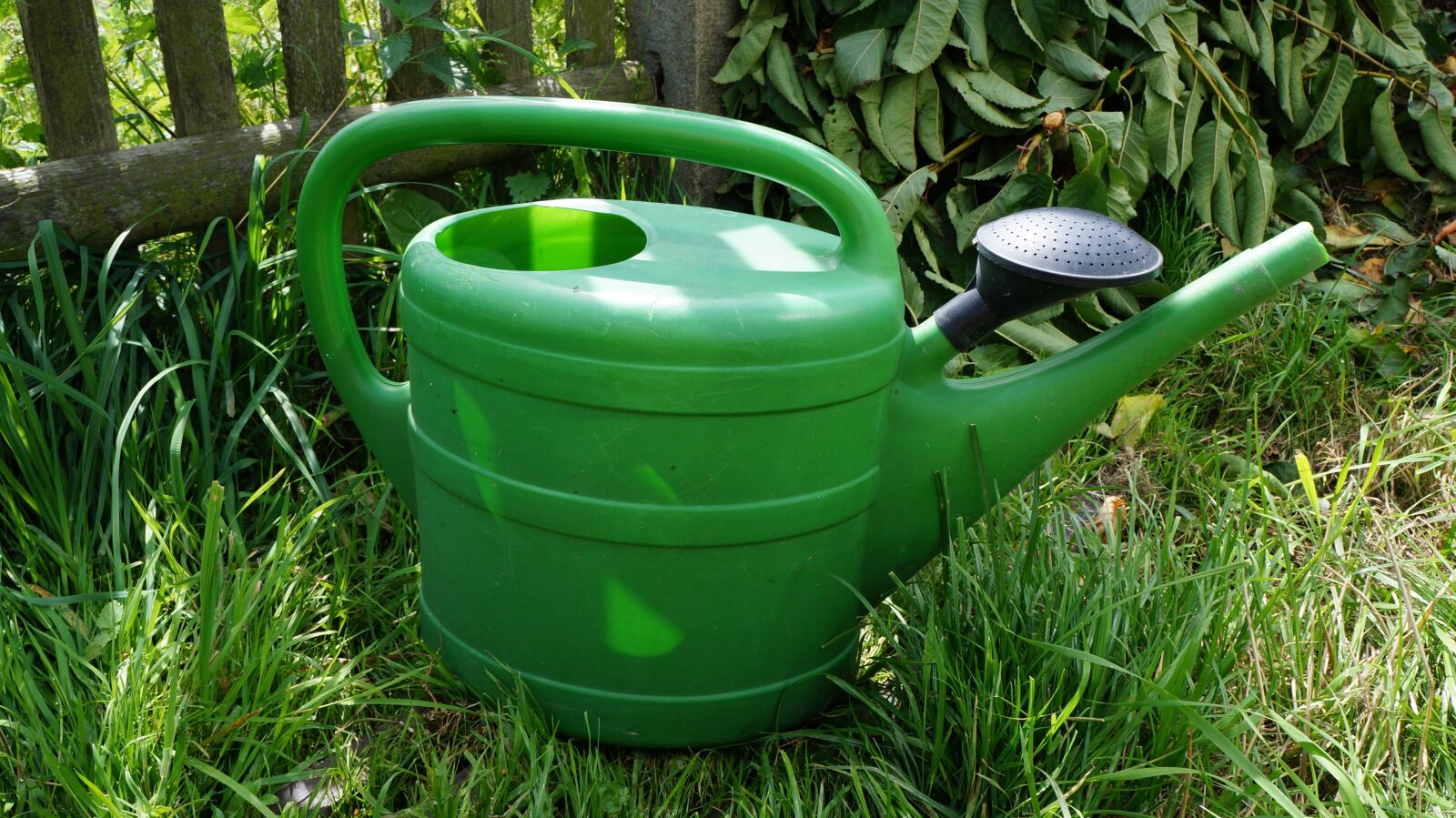 Sony Alpha a3000 + Sony E 18-55mm F3.5-5.6 OSS sample photo. Watering can, water, garden photography