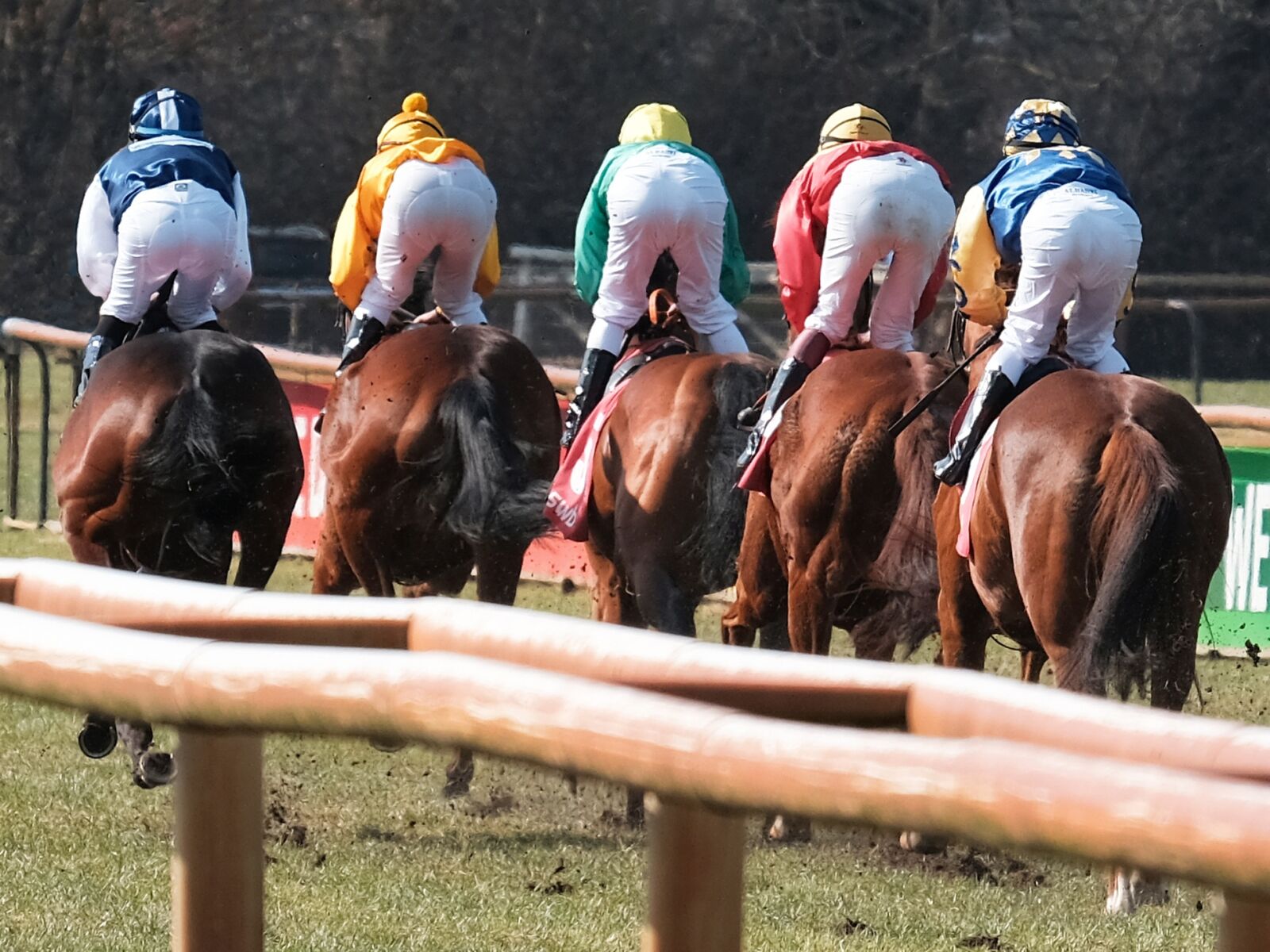 Fujifilm X-T2 + Fujifilm XF 55-200mm F3.5-4.8 R LM OIS sample photo. Human, horse, competition photography