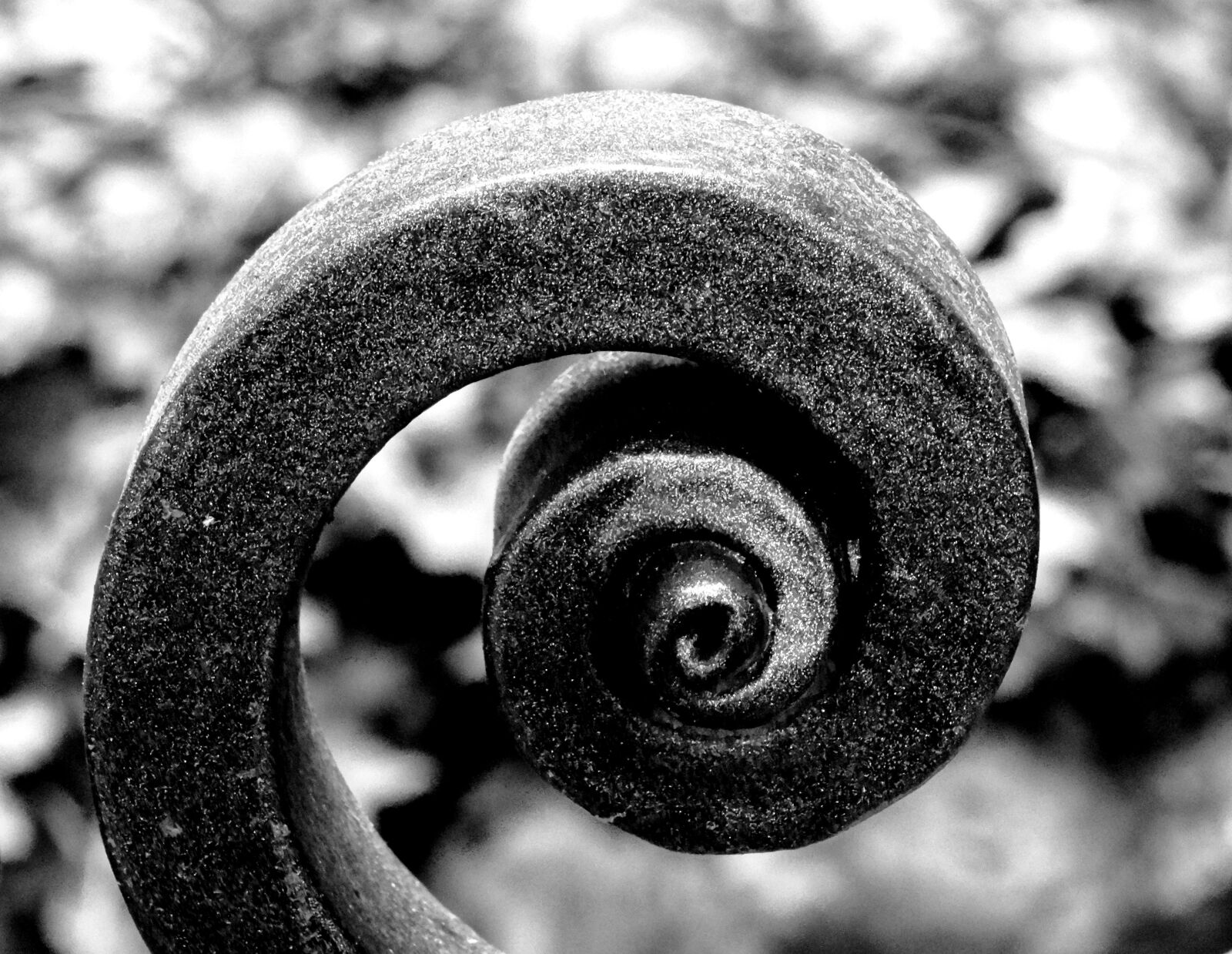 Sony Cyber-shot DSC-HX50V sample photo. Wrought iron, iron gate photography