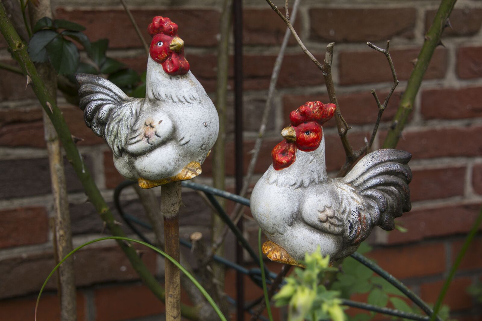 Canon EOS 60D sample photo. Deco, chicken, decoration photography