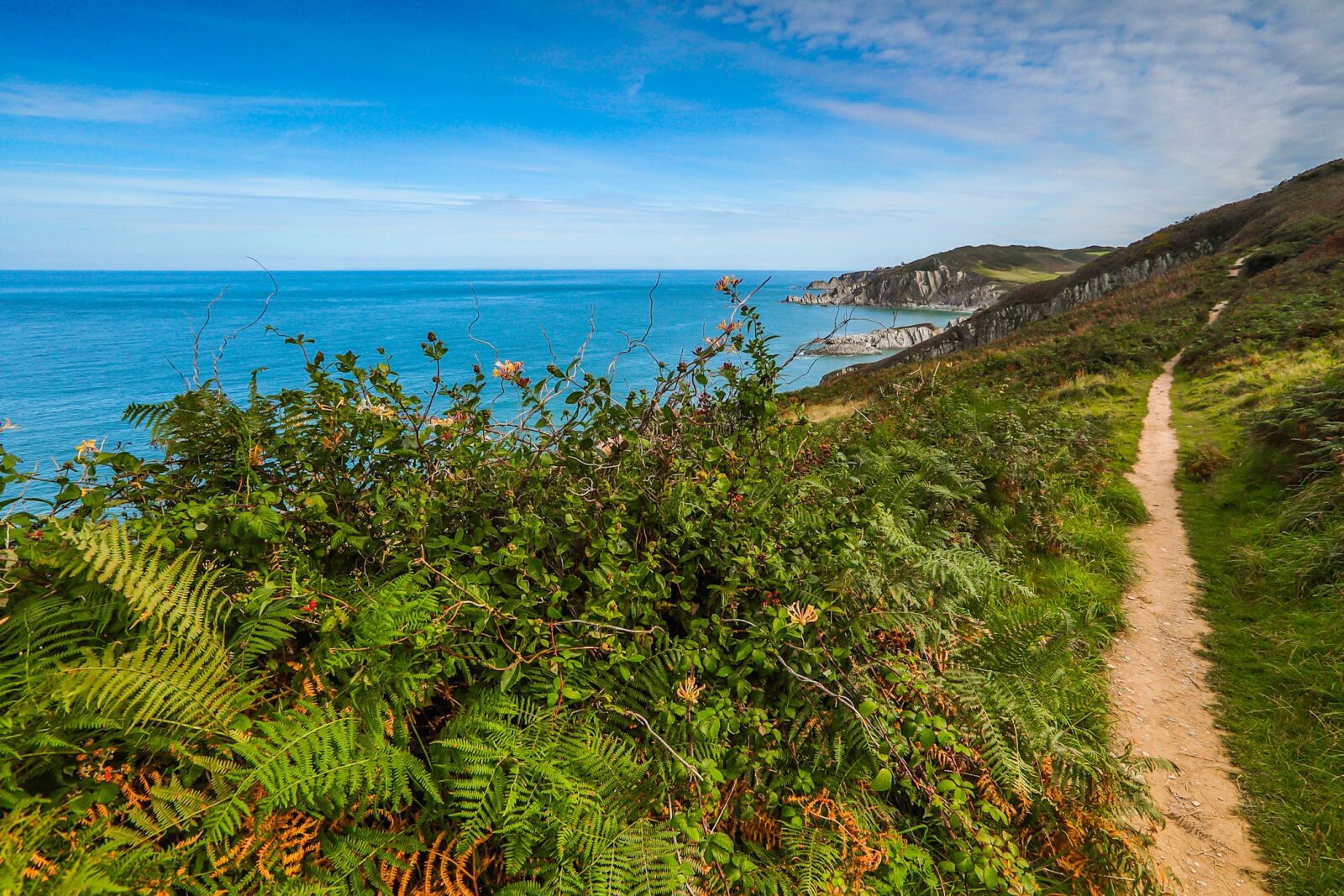 Canon EF 16-35mm F2.8L II USM sample photo. Coast, walkway, ocean photography