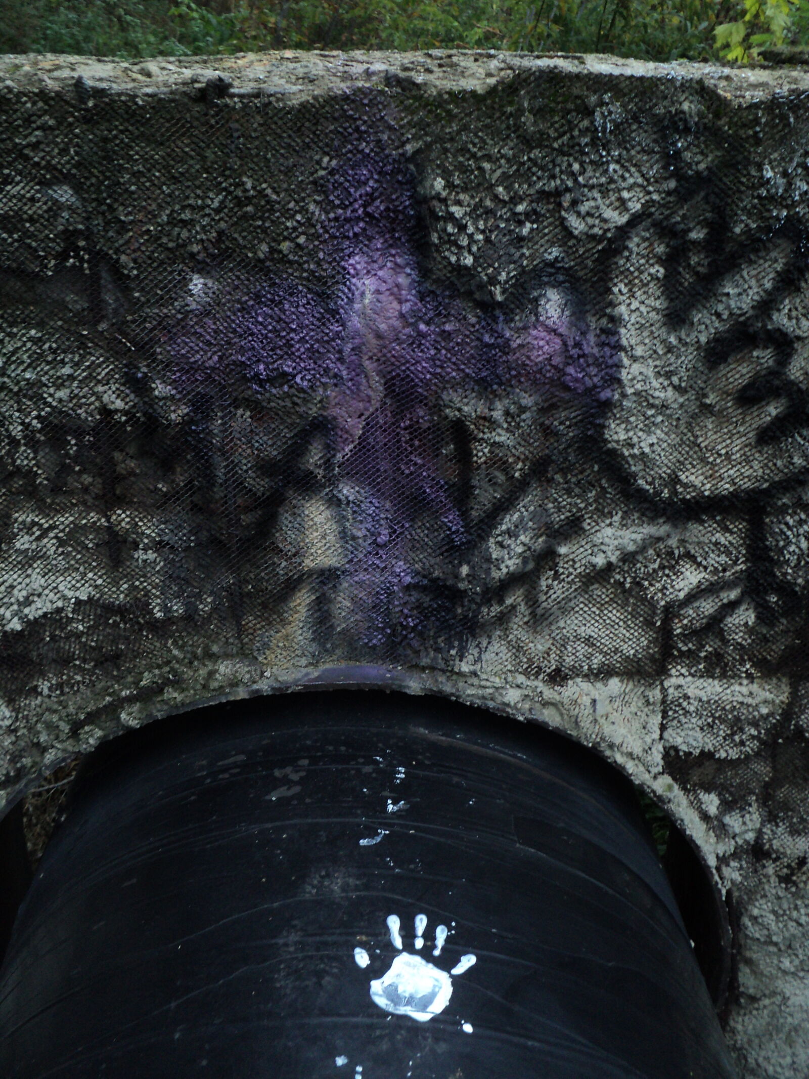 Sony DSC-S2100 sample photo. Something something witchcore photography