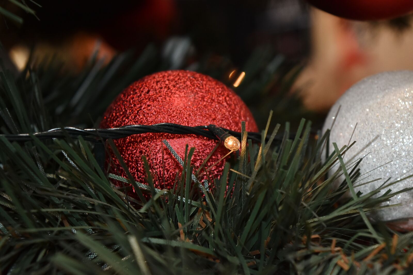 Nikon D5500 sample photo. Branch, christmas, christmas tree photography