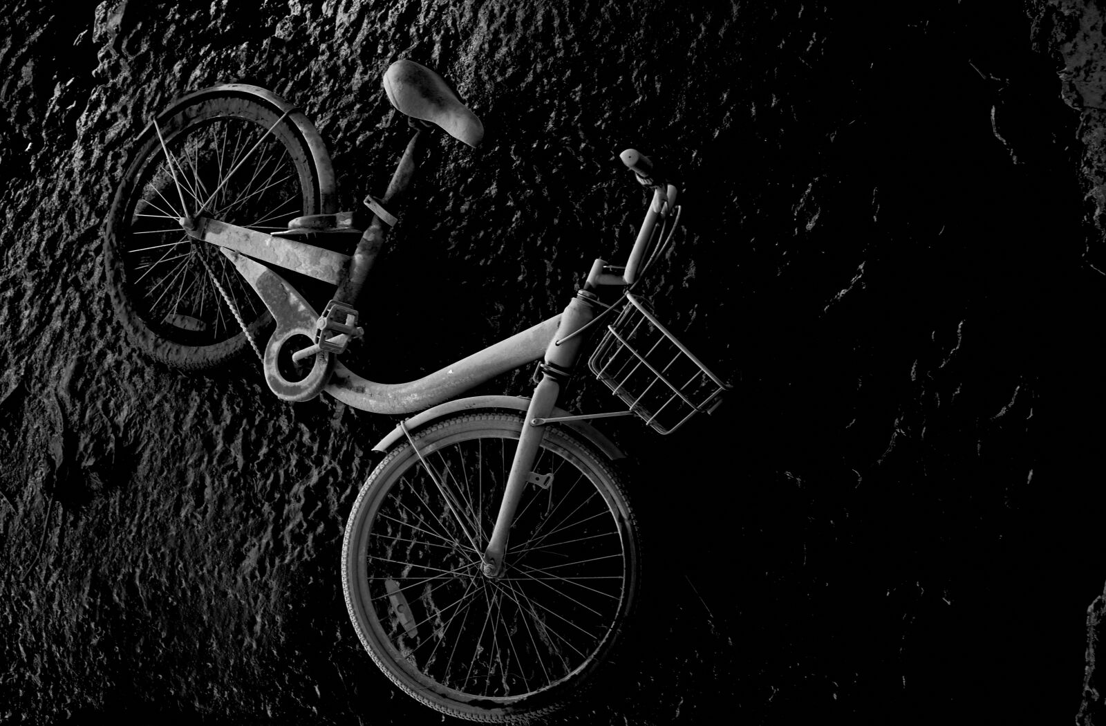Fujifilm X-T1 sample photo. Wheel, no person, motorcycle photography