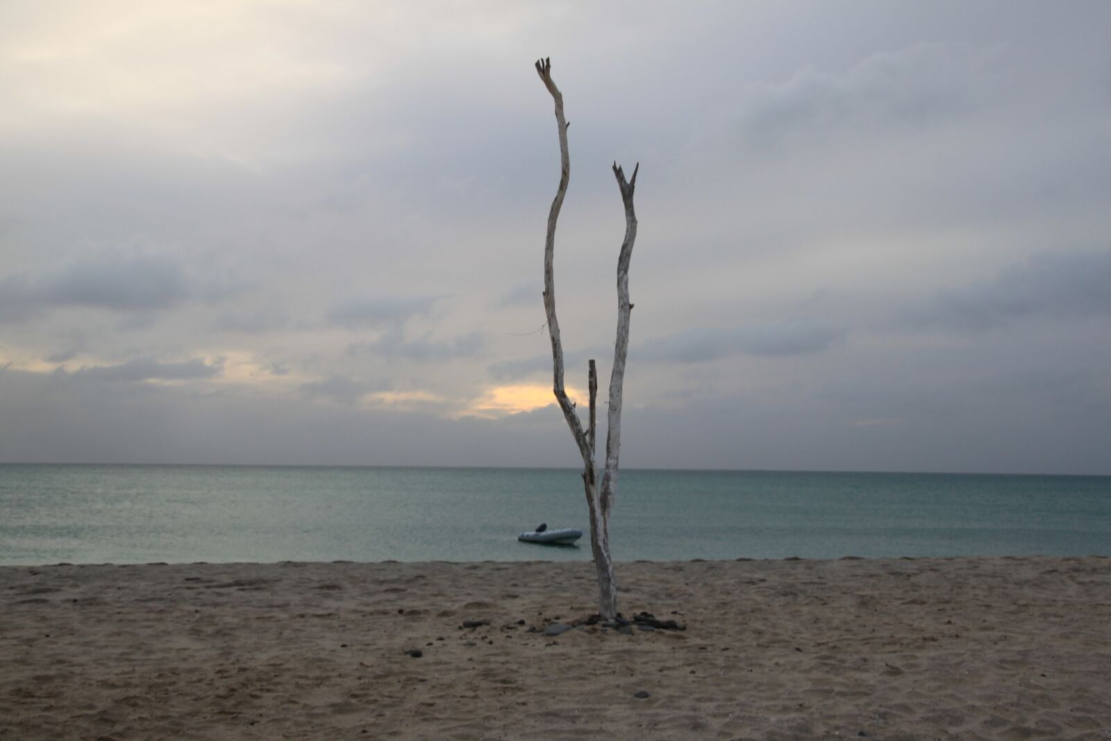 Canon EOS 500D (EOS Rebel T1i / EOS Kiss X3) sample photo. Cape verde, boa vista photography