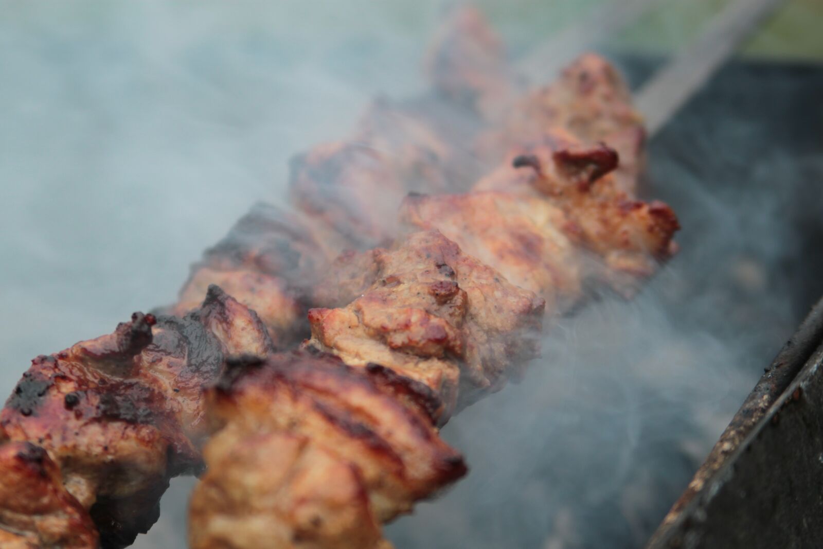 Canon EOS 500D (EOS Rebel T1i / EOS Kiss X3) sample photo. Shish kebab, food, meat photography