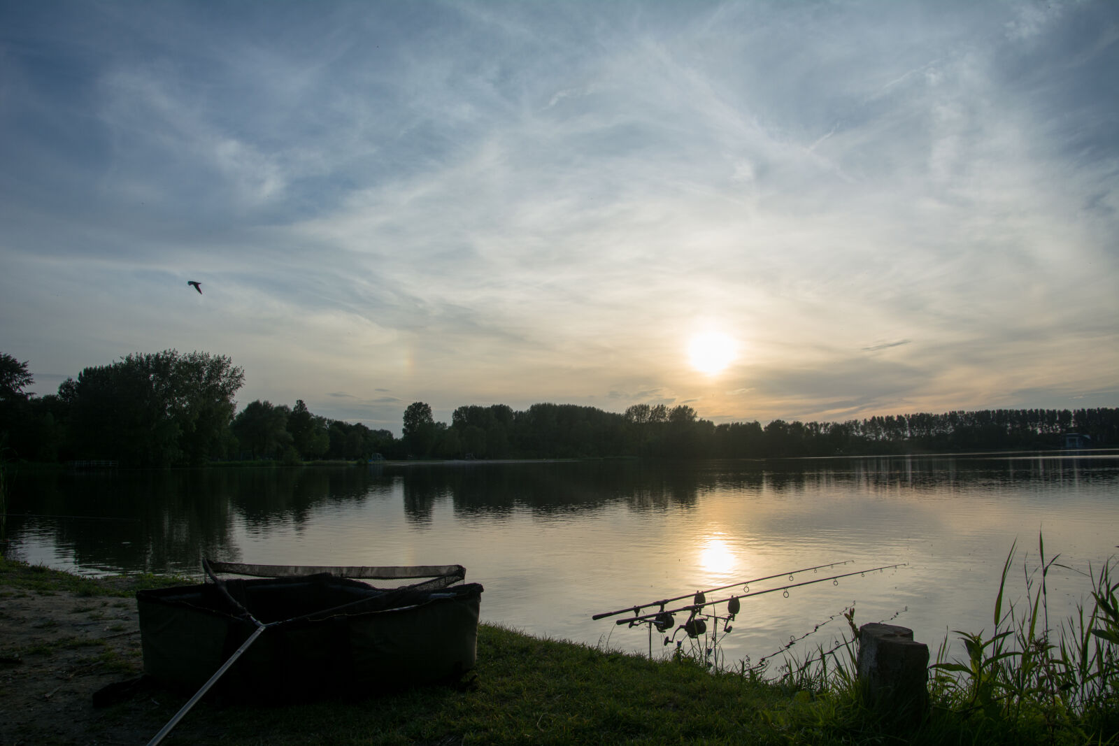 Nikon D5200 sample photo. Carp, fishing, carpfishing, night photography