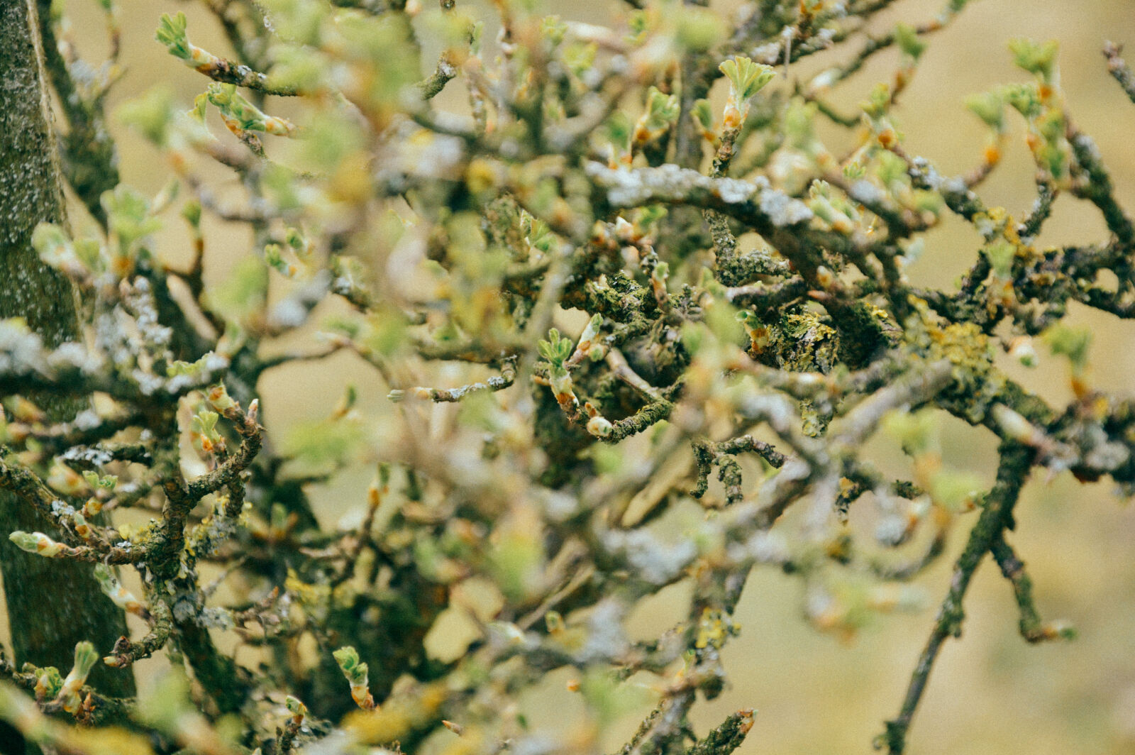 Nikon D3200 sample photo