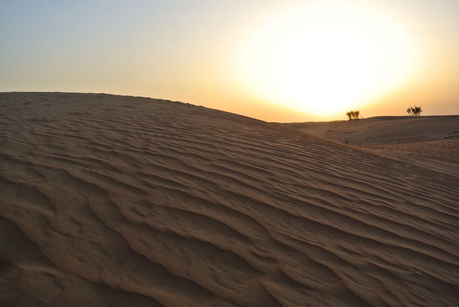 Nikon 1 Nikkor VR 10-30mm F3.5-5.6 sample photo. Desert, sunset, camels photography