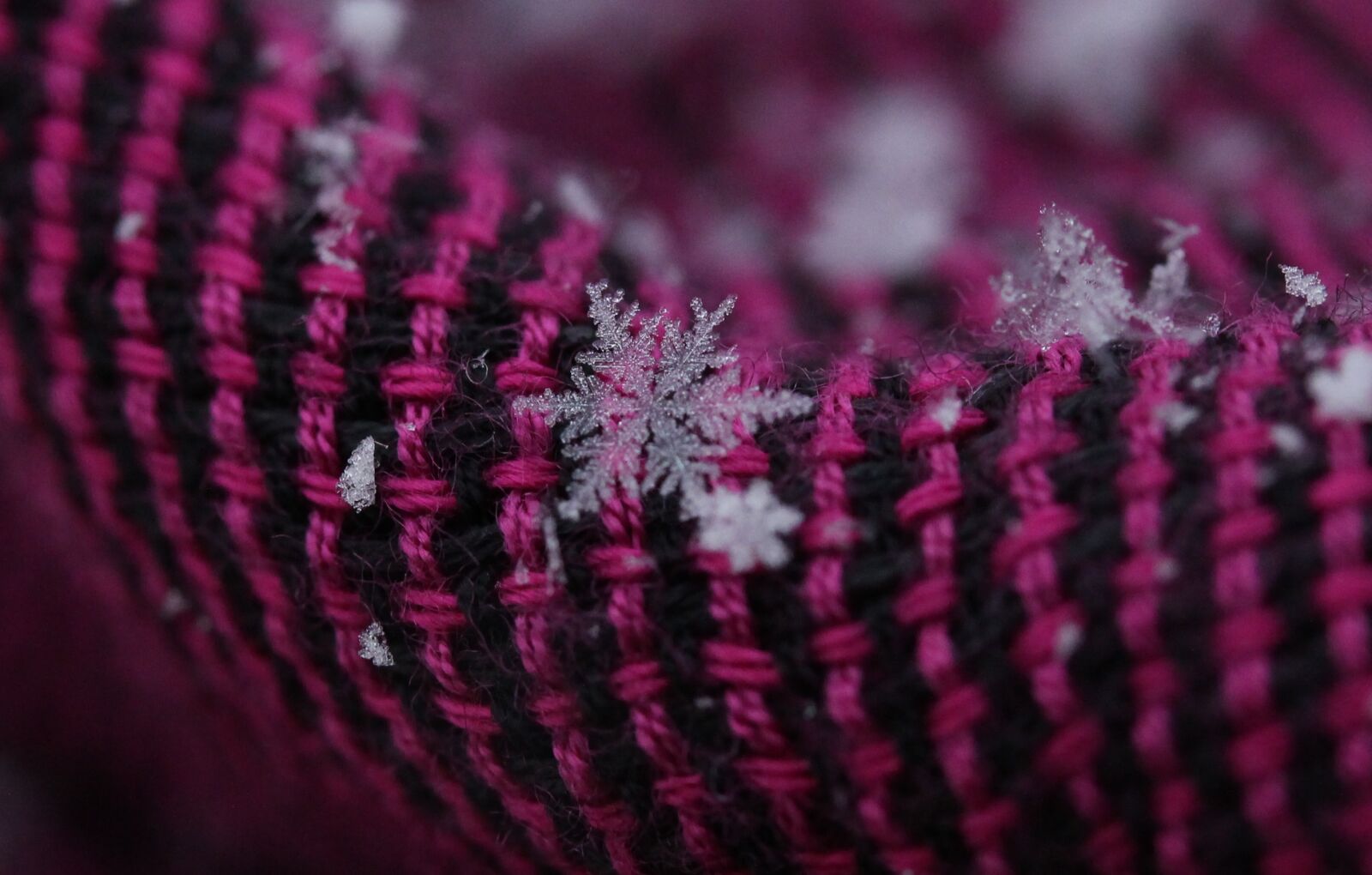 Canon EF-S 60mm F2.8 Macro USM sample photo. Snowflake, winter, white photography
