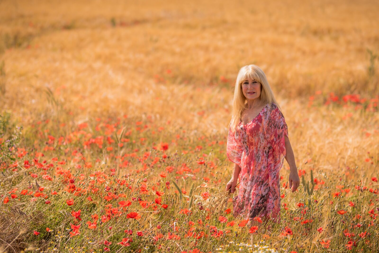 Nikon D750 sample photo. Poppies, person, calm photography