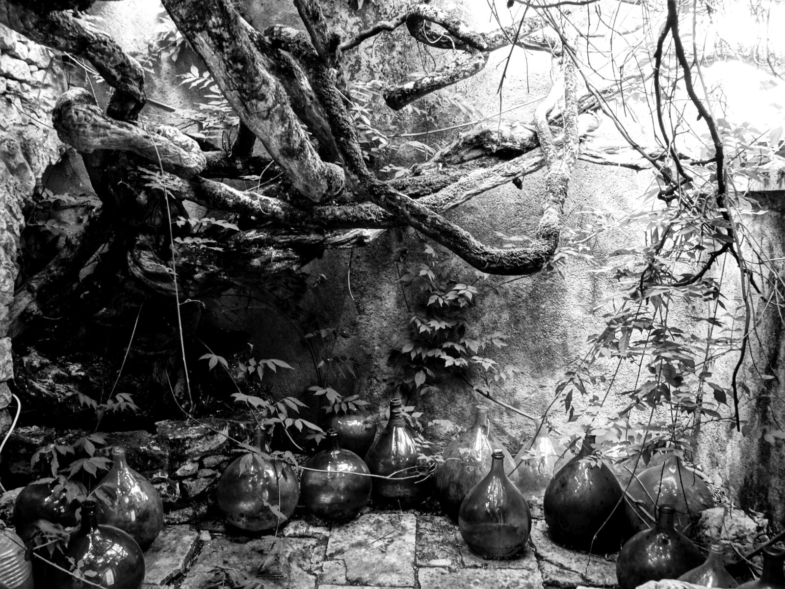 Sony Cyber-shot DSC-HX50V sample photo. Aesthetic, bottle, stone photography