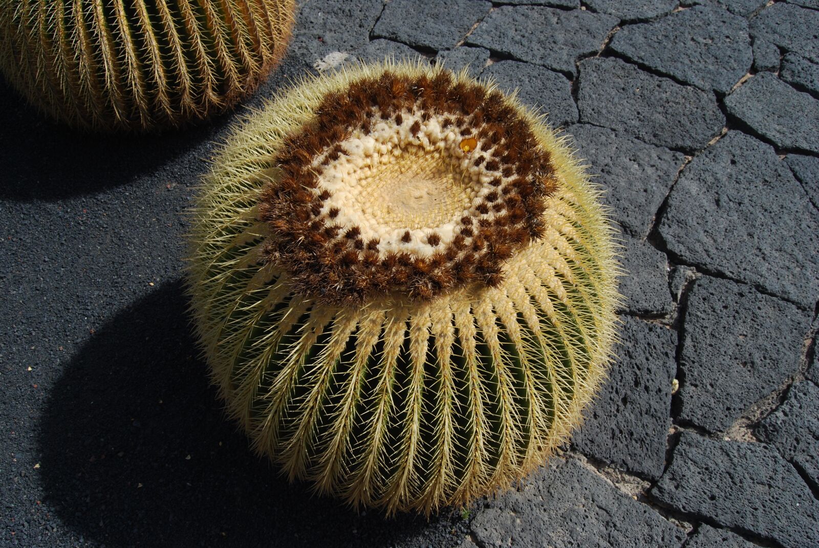 Nikon D60 sample photo. Lanzarote, canary, canary islands photography