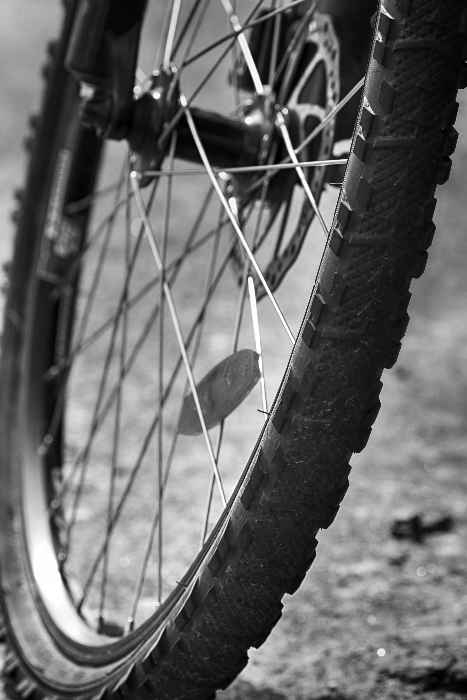 Canon EOS 7D Mark II + Canon EF 135mm F2L USM sample photo. Wheel, bike, spoke photography