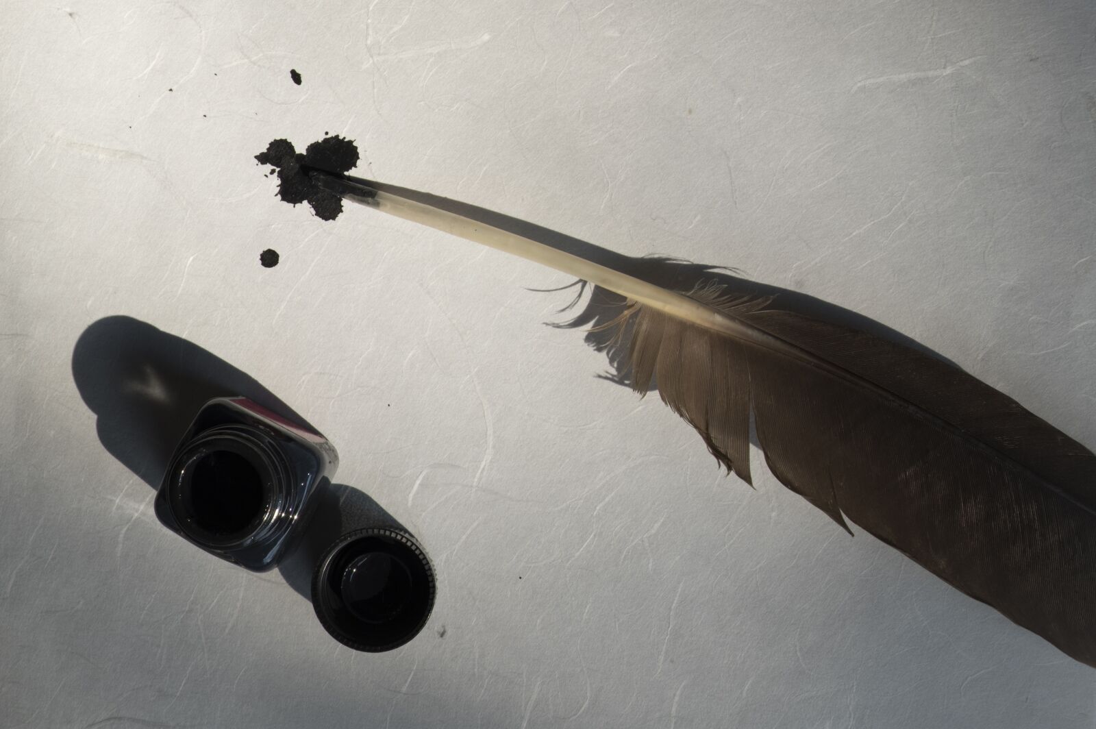 Fujifilm XF 18-55mm F2.8-4 R LM OIS sample photo. Bird feather, feather, paper photography