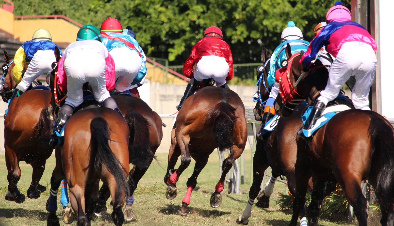 Canon EOS 1200D (EOS Rebel T5 / EOS Kiss X70 / EOS Hi) sample photo. Horse racing, horse, jockey photography