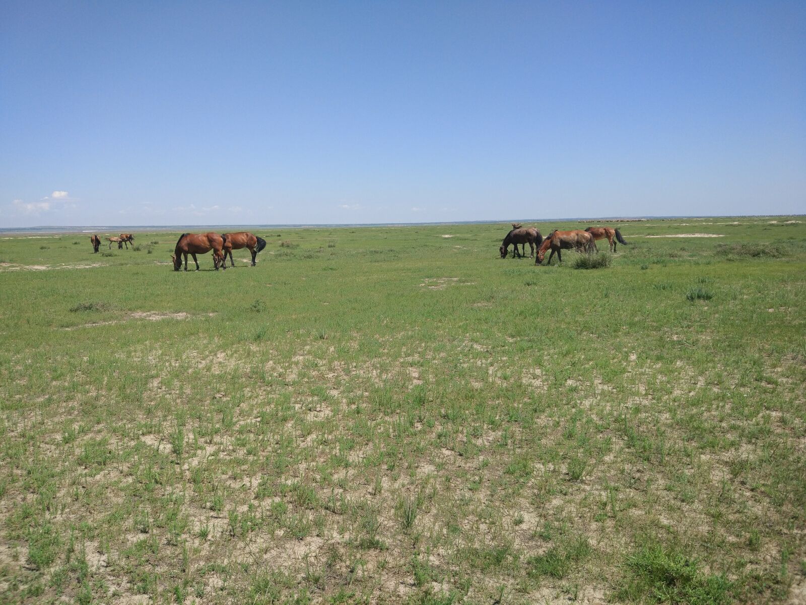 Xiaomi MI 5 sample photo. Prairie, empty, blue sky photography
