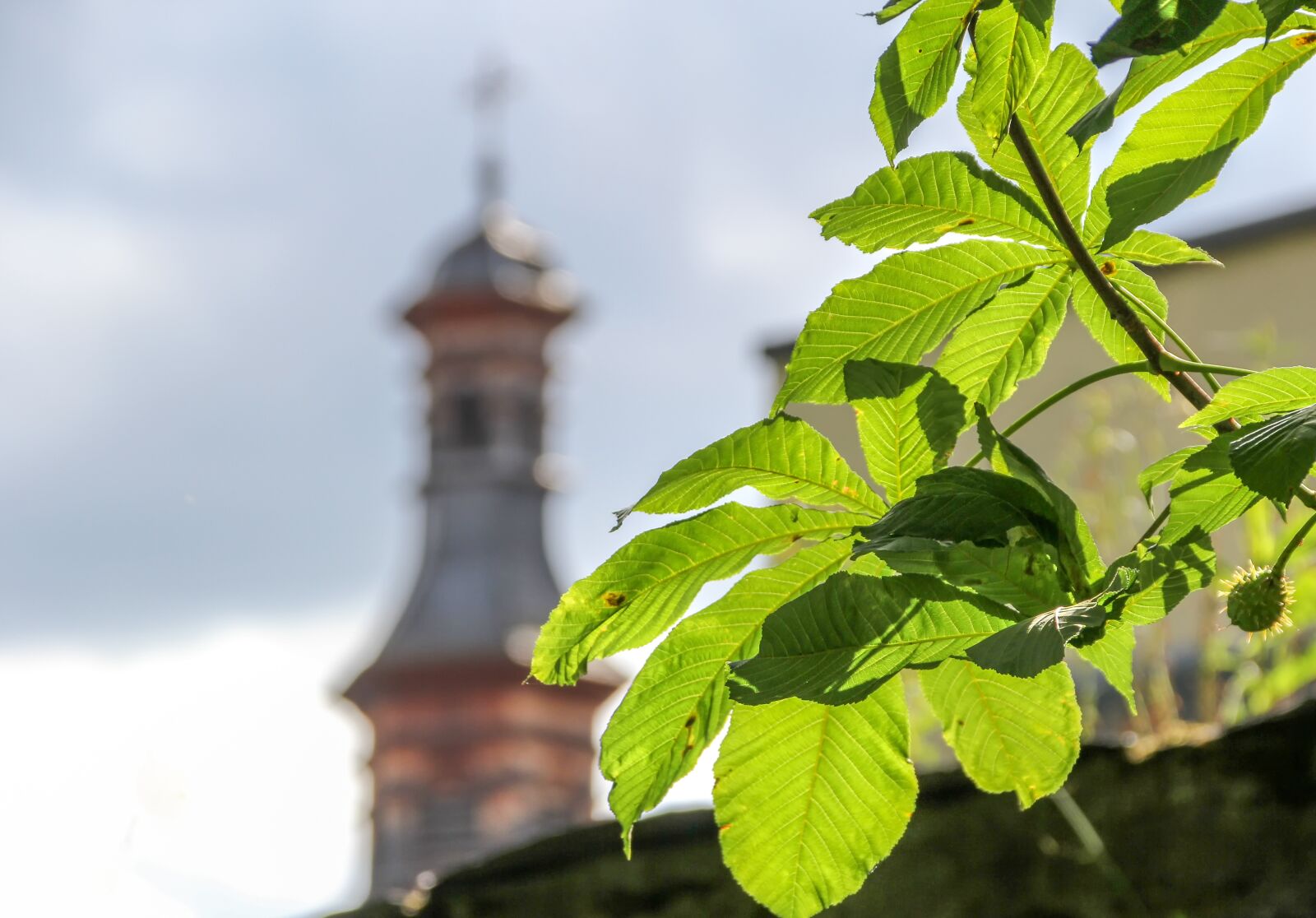 Canon EOS 60D sample photo. Tower, chestnut, leaves photography