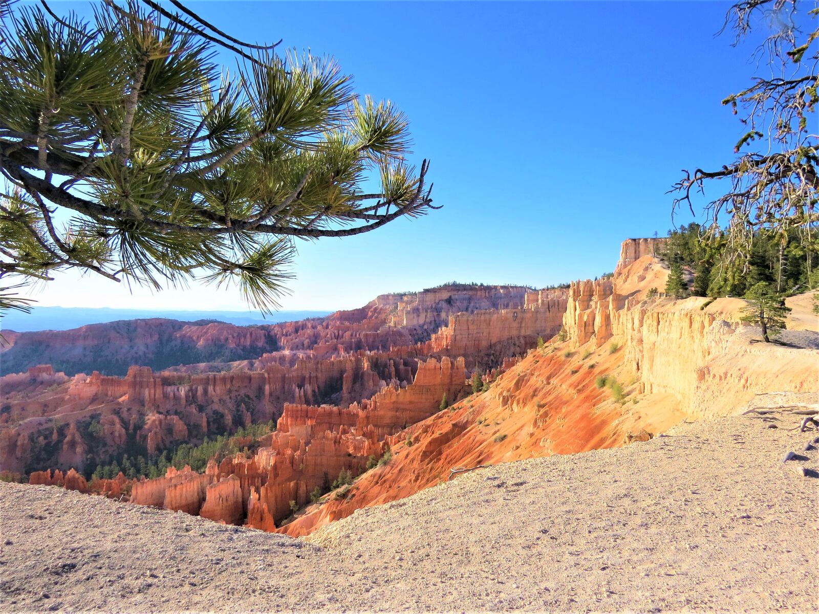 Canon PowerShot SX50 HS sample photo. Bryce canyon, hiking, utah photography