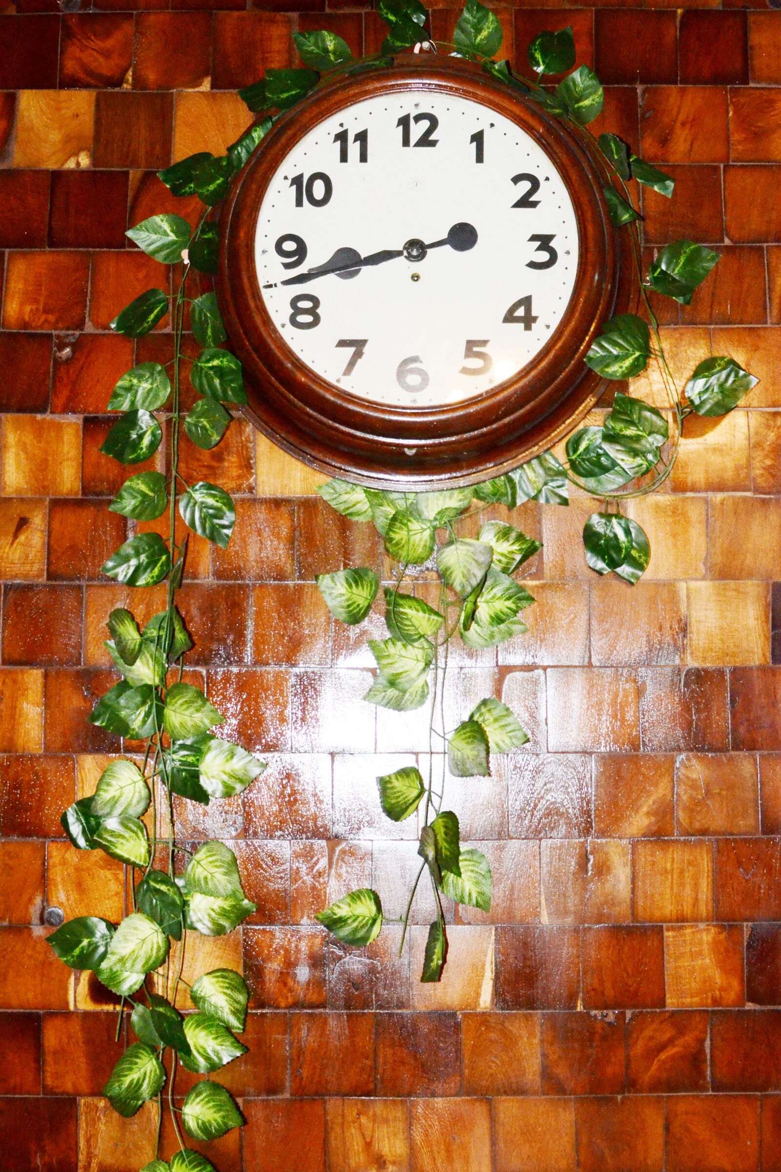 Nikon D7000 sample photo. Reloj, plantas, decoración photography