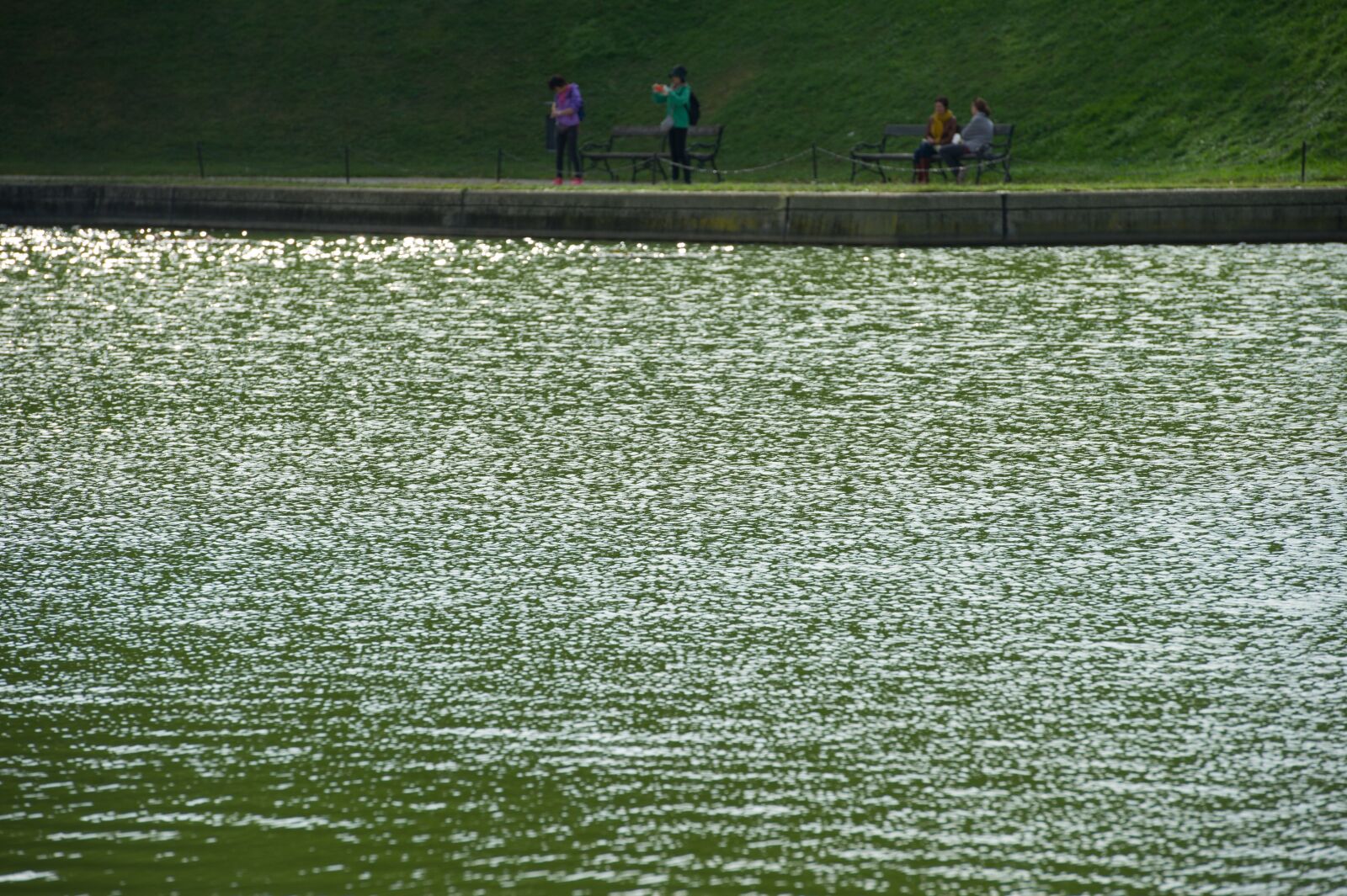 Nikon D3S sample photo. Water surface, pond, nature photography