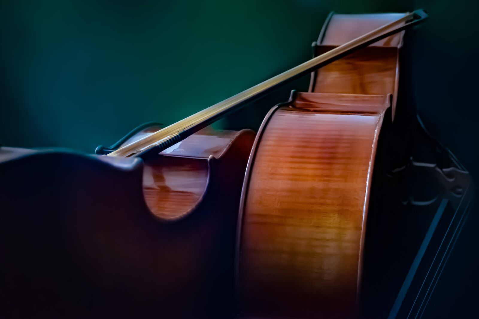 Nikon D5600 sample photo. Cellos, silhouette, bow photography