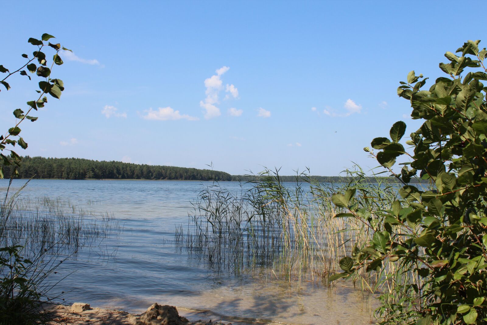 Canon EOS 600D (Rebel EOS T3i / EOS Kiss X5) sample photo. Lake, belarus, nature photography