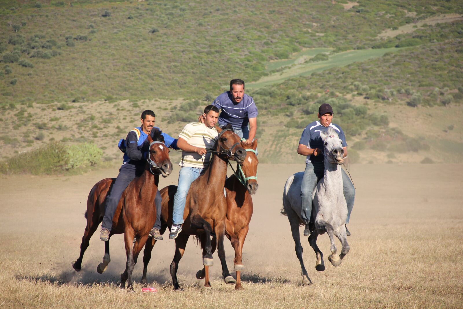 Canon EOS 550D (EOS Rebel T2i / EOS Kiss X4) sample photo. Landscape, horse, field photography