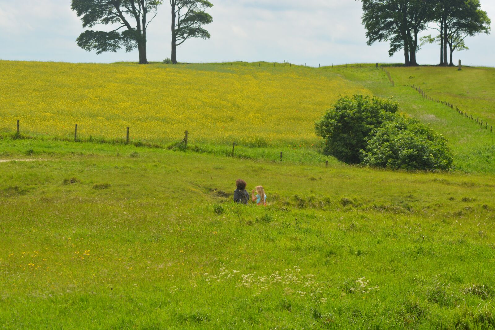 Nikon D5200 sample photo. A walk in the photography