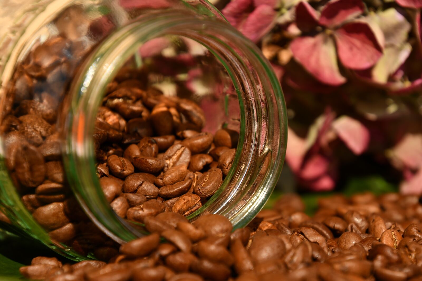 Nikon D7500 sample photo. Coffee, coffee beans, roasted photography