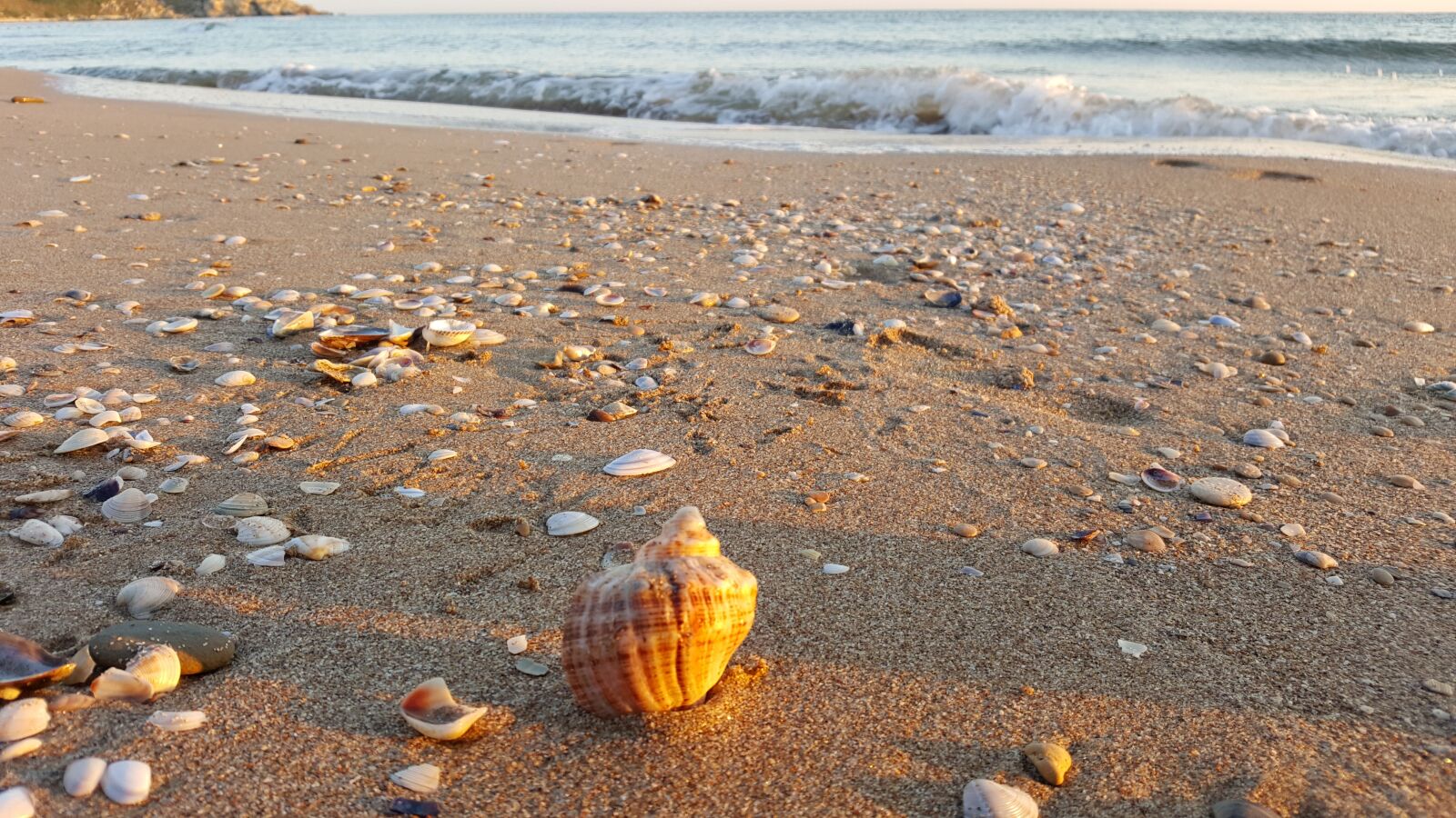 Samsung Galaxy S6 sample photo. Shell, beach, turkey photography