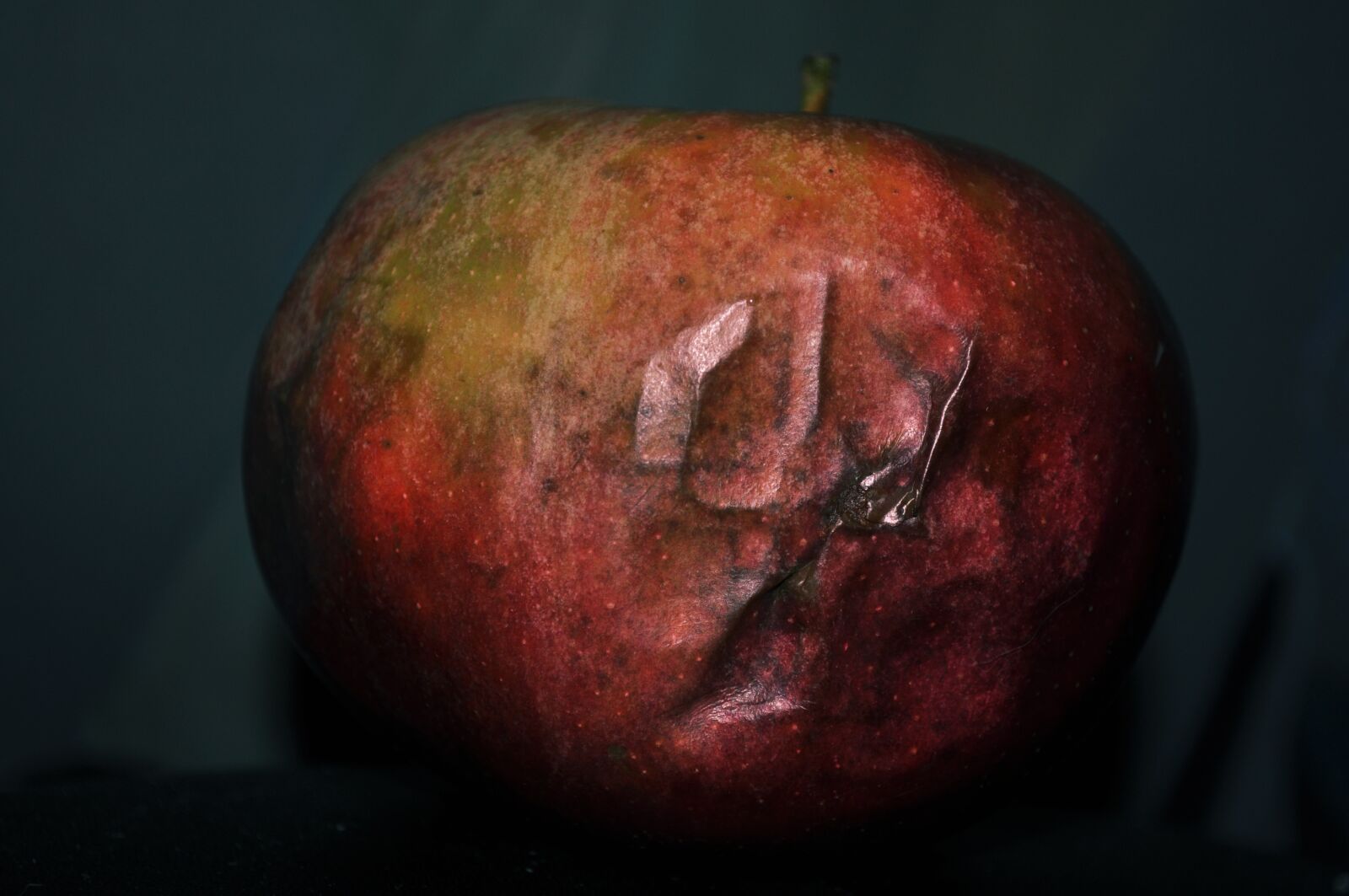 Nikon D5000 sample photo. Apple, rot, damaged photography