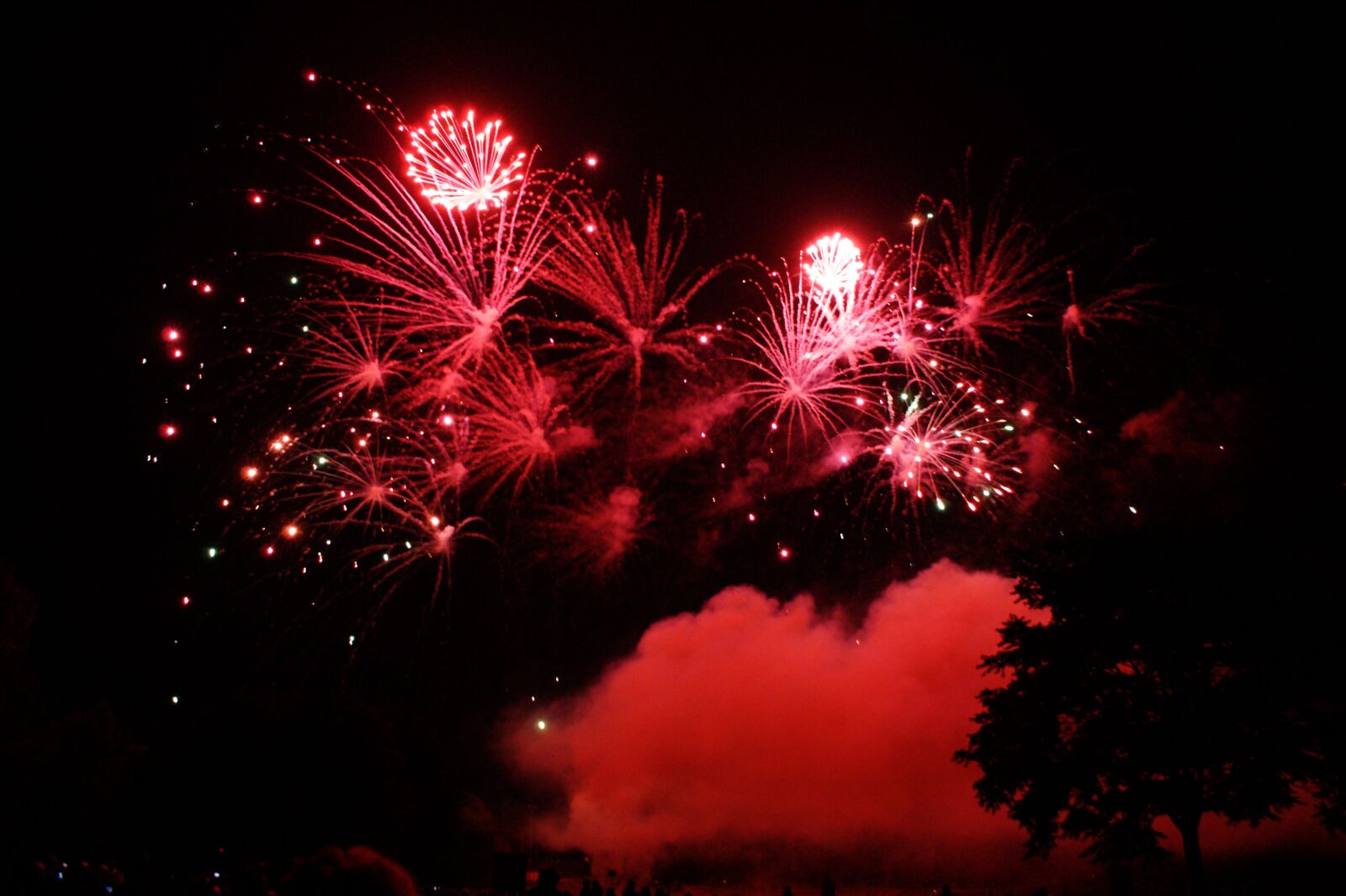Sony Alpha DSLR-A350 sample photo. Fireworks, pyrotechnics, night photography