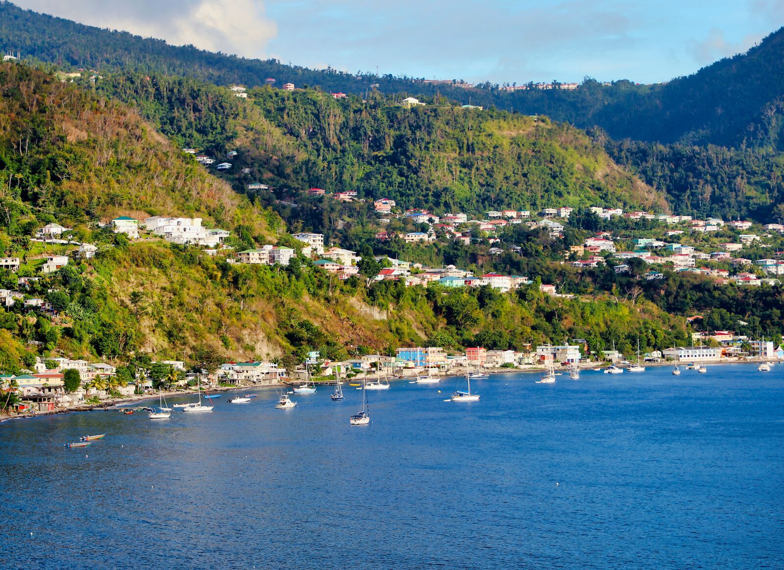 Canon EF 24-105mm F4L IS II USM sample photo. Dominica, roseau, caribbean photography