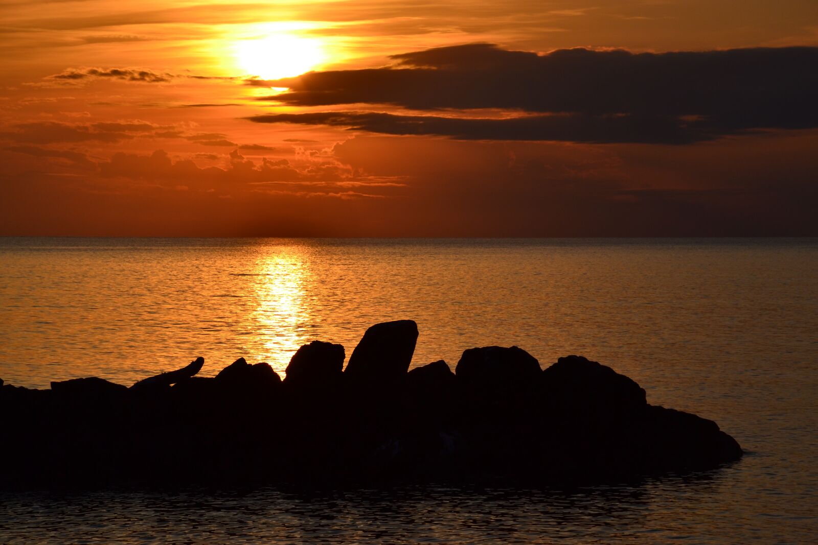 Nikon D3100 sample photo. Sunset, waters, sun photography
