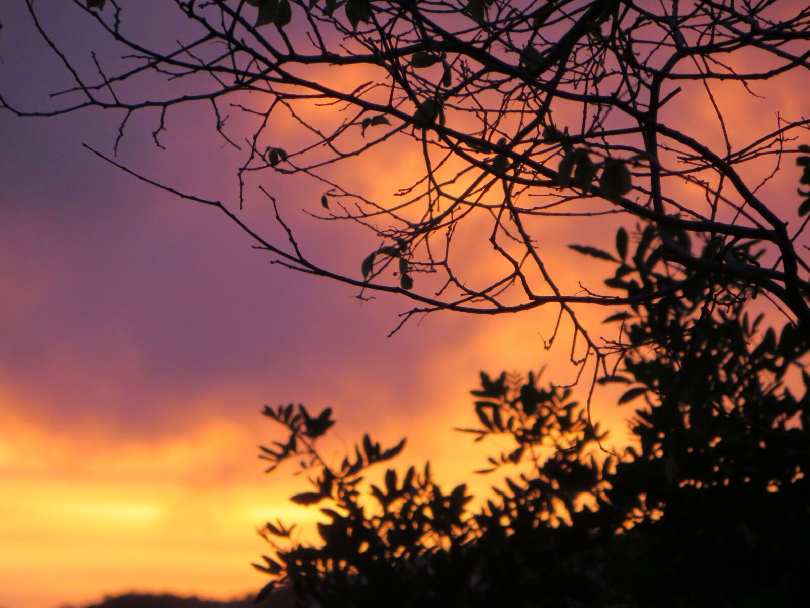 Canon PowerShot SX240 HS sample photo. Sunset, silhouette, trees photography